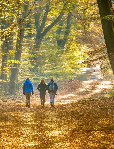 foto-12-wandelen.jpg